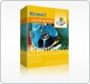 de/datenrettung/ntfs-recovery1